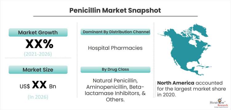 Penicillin-Market-Dynamics